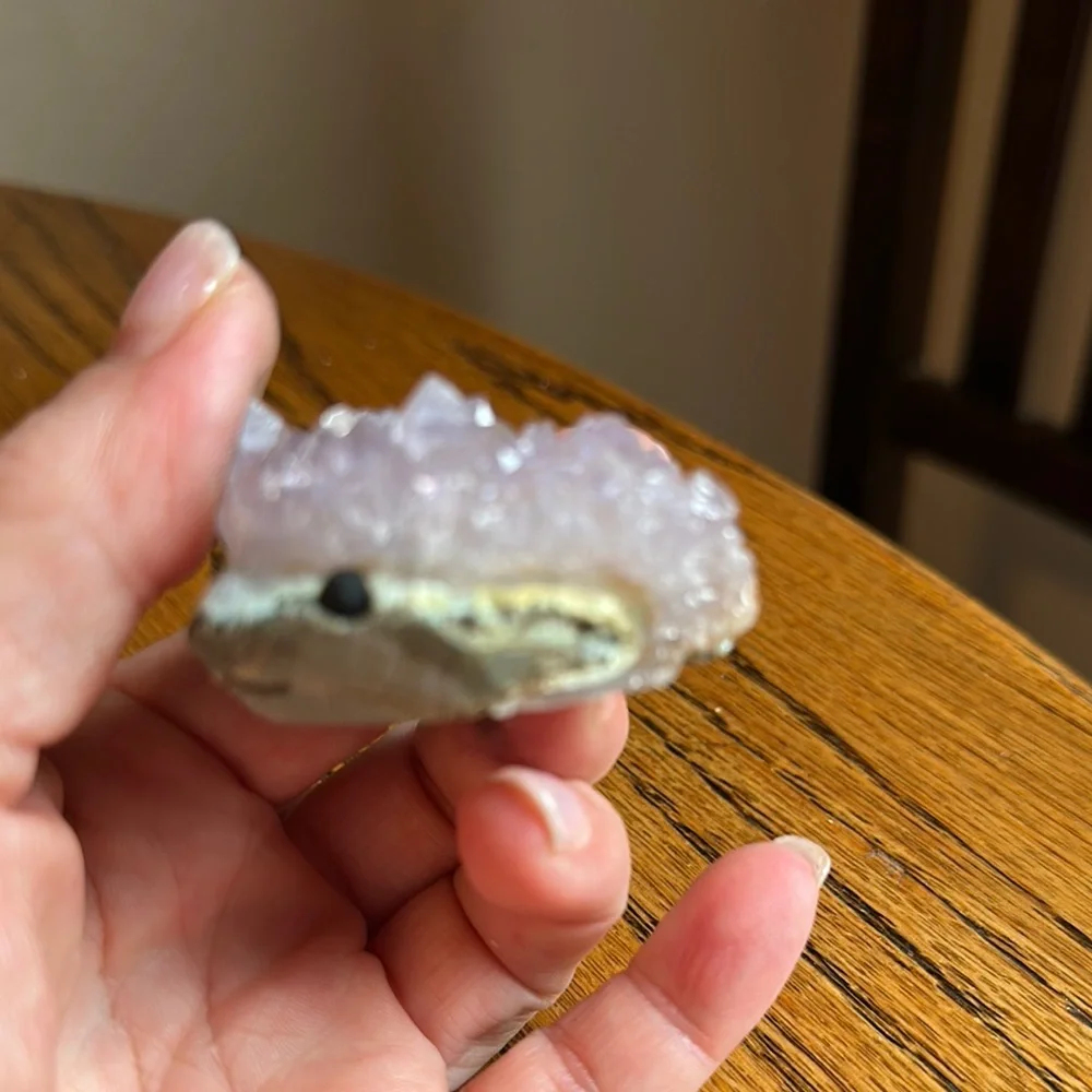 Amethyst Crystal Smiling Happy Hedgehog